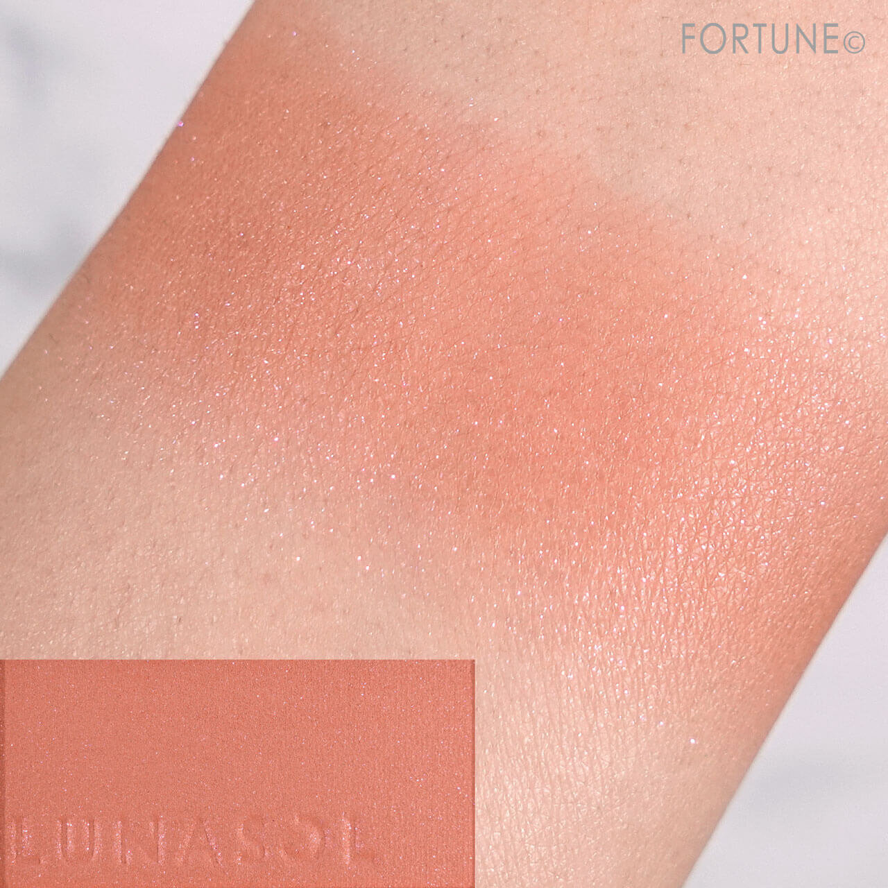 LUNASOL（ルナソル）　カラーリングシアーチークス（グロウ）　2023年秋新作