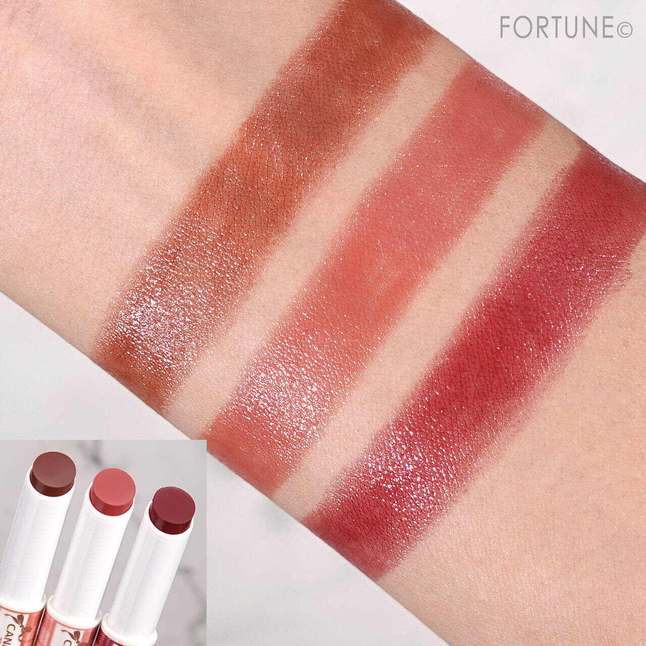 CANMAKE（キャンメイク）　『むちぷるティント』