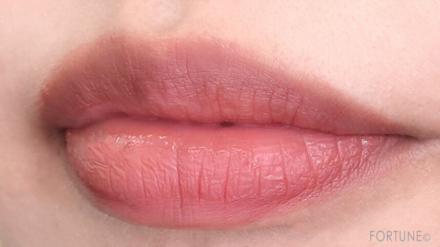 アディクション　ザ マット リップ リキッド ミニ　限定色「110S Mellow Maroon」