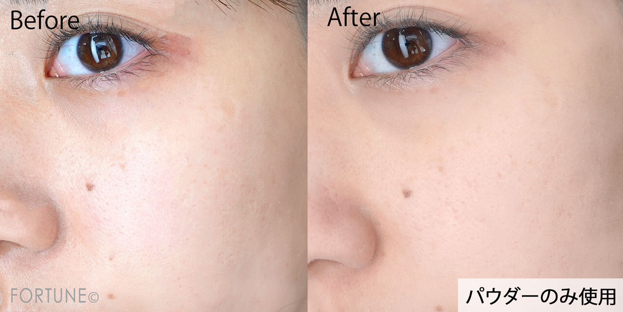 VDL（ヴィ・ディー・エル）　パーフェクティング シルキーフィット パウダー