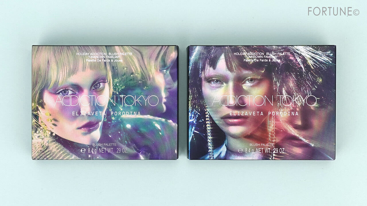 アディクション　ホリデーアディクション ブラッシュ パレット “アンノウン ファミリア” 　クリスマスコフレ