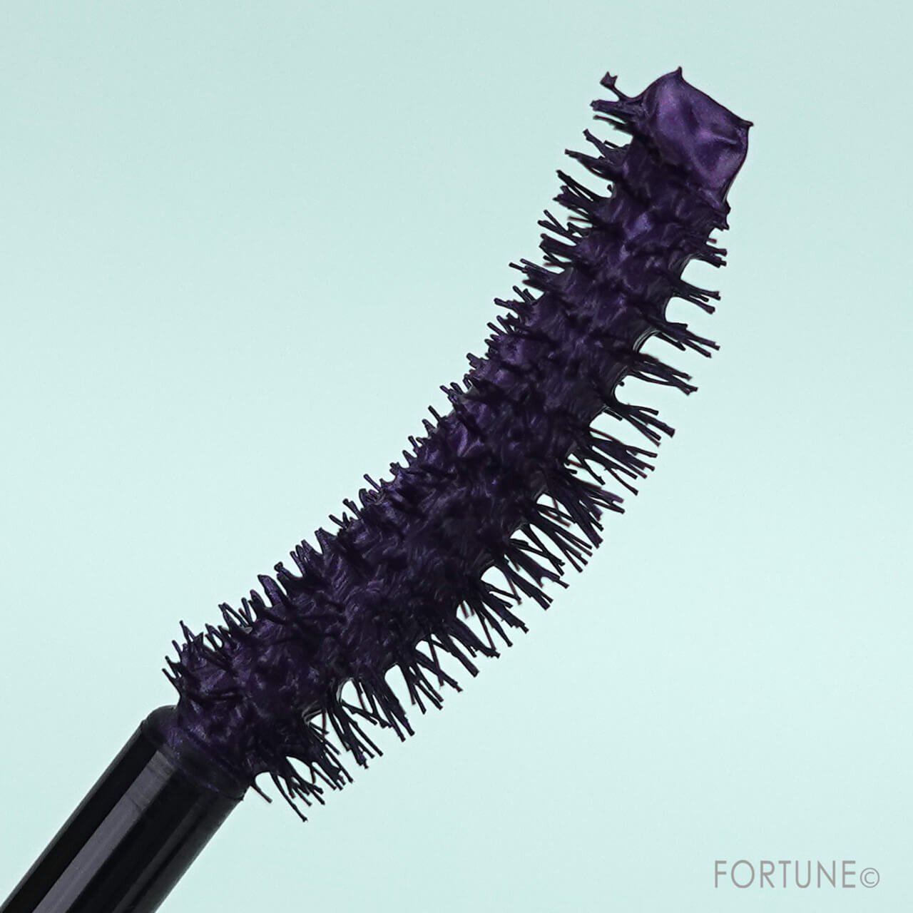 アディクション　ザ マスカラ インテンス ラッシュ “アンノウン ファミリア”　クリスマスコフレ