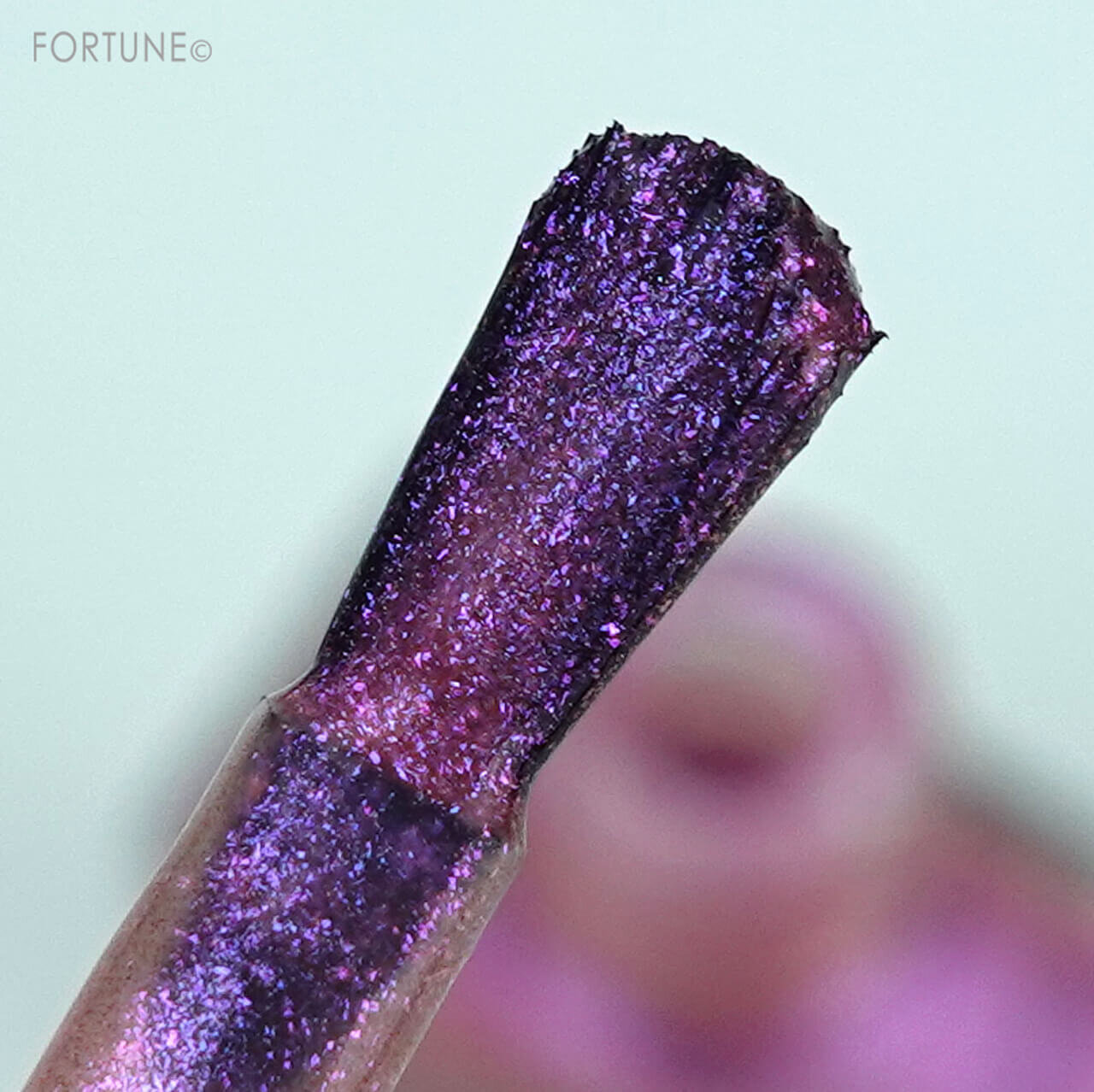 アディクション　ザ ネイルポリッシュ ＋ “アンノウン ファミリア”　クリスマスコフレ