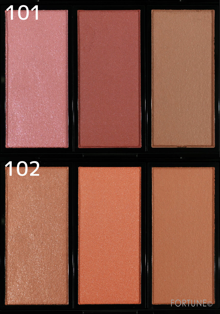 アディクション　ホリデーアディクション ブラッシュ パレット “アンノウン ファミリア” 　クリスマスコフレ