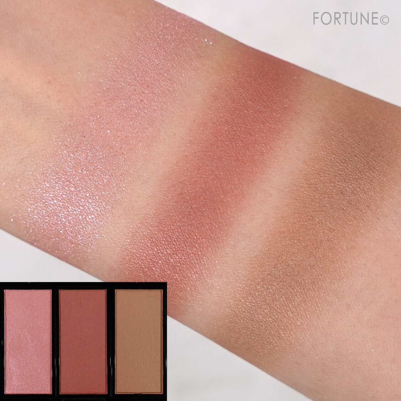 アディクション　ホリデーアディクション ブラッシュ パレット “アンノウン ファミリア” 　クリスマスコフレ