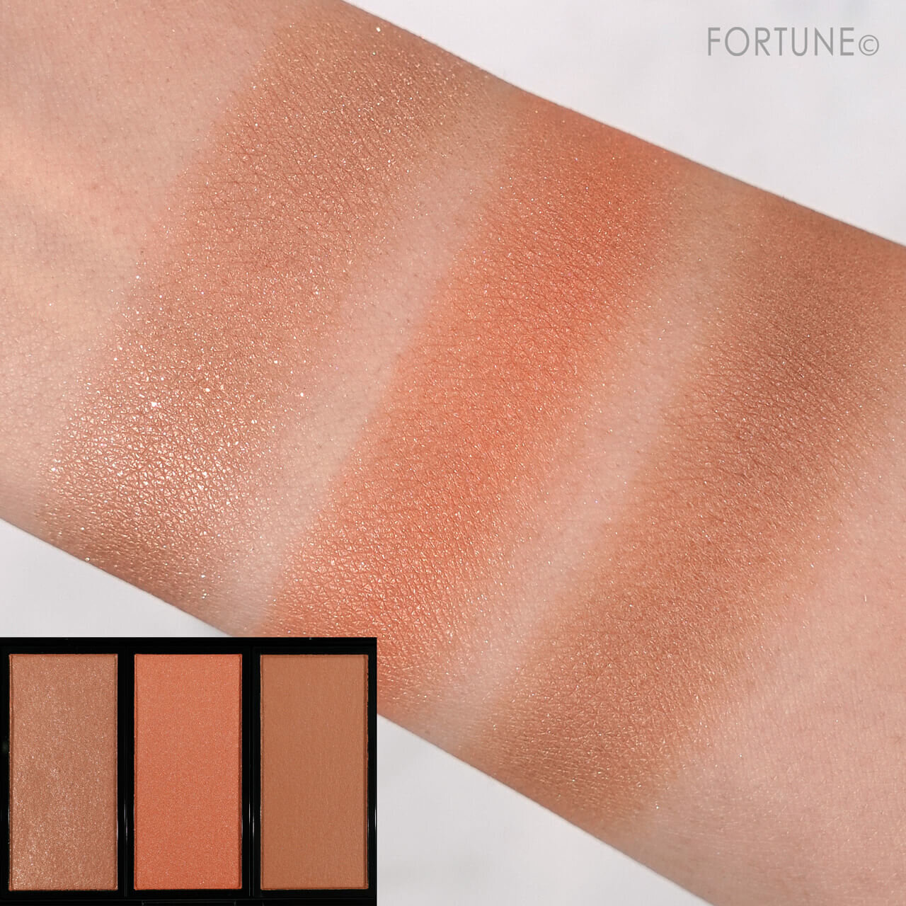 アディクション　ホリデーアディクション ブラッシュ パレット “アンノウン ファミリア” 　クリスマスコフレ