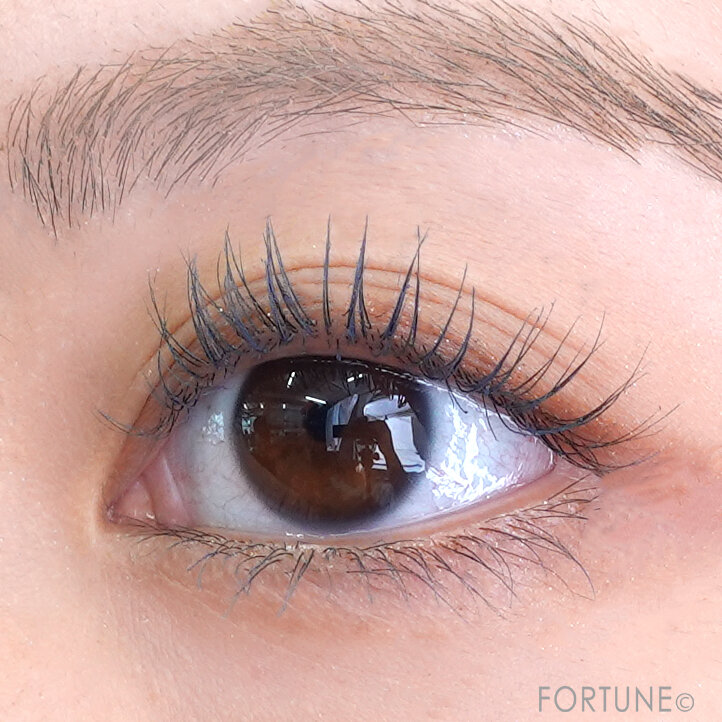 ettusais（エテュセ）　エテュセ アイエディション（マスカラ）エアリーマットタイプ