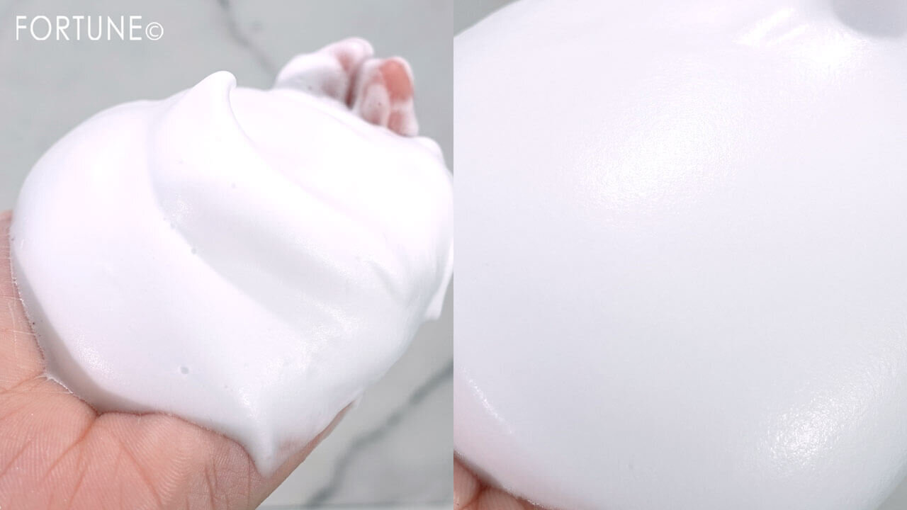 クレ・ド・ポー ボーテ　『ムースネトワイアントＡ ｎ』