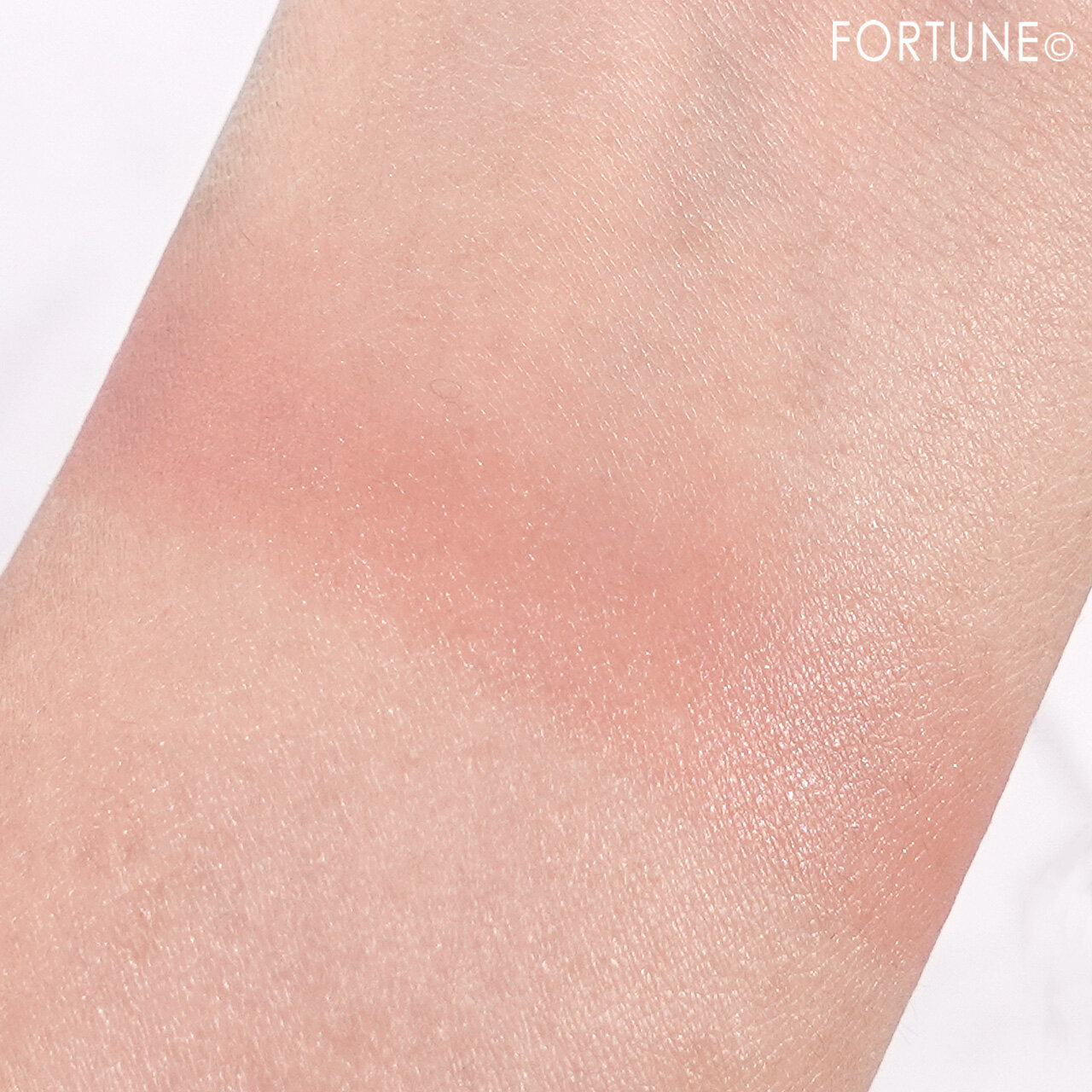 SUQQU（スック）　2023年クリスマスコフレ　「デューイー リクイド ブラッシュ 101 花彩洸 -HANAIROHONOKA」