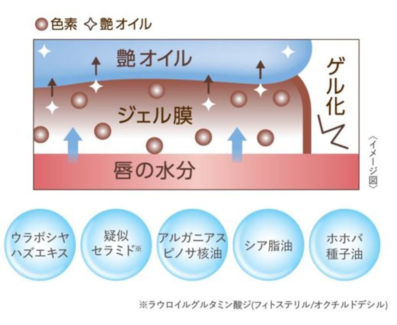 CEZANNE（セザンヌ）　リップカラーシールド