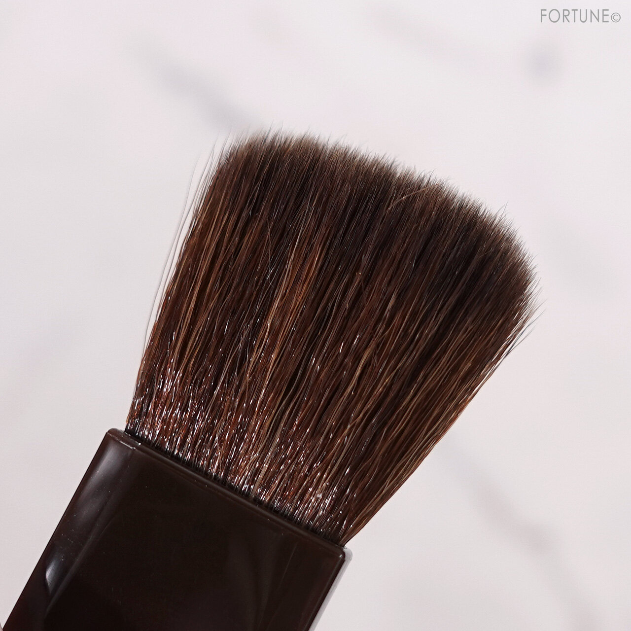 CEZANNE（セザンヌ）　『セザンヌ パールグロウハイライト』　SP1 オーロラプリズム