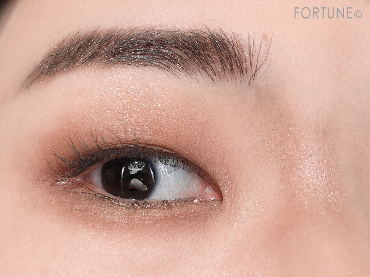 KATE（ケイト）　『ケイト　アイブロウマニア』　EX-5