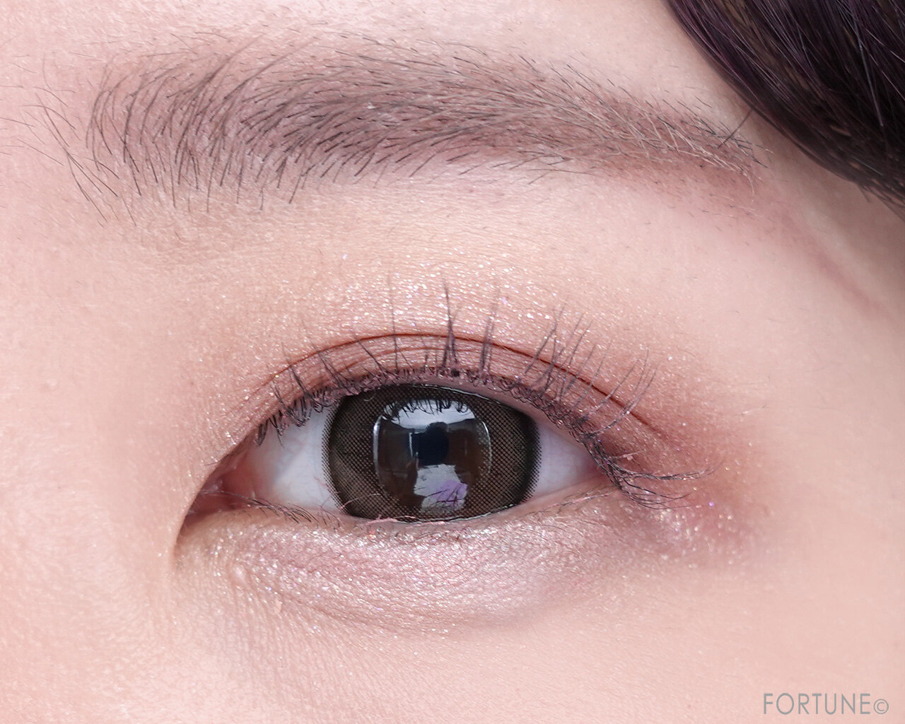 ettusais（エテュセ）　エテュセ アイエディション（カラーパレット） N　17ライラックモーブ