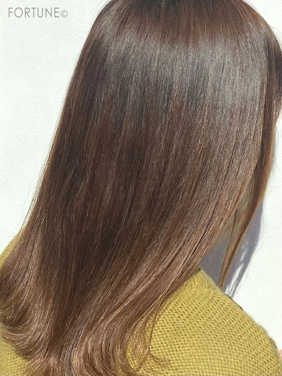 BRiOSS（ブリオス）　ブリオス クリームシャンプー