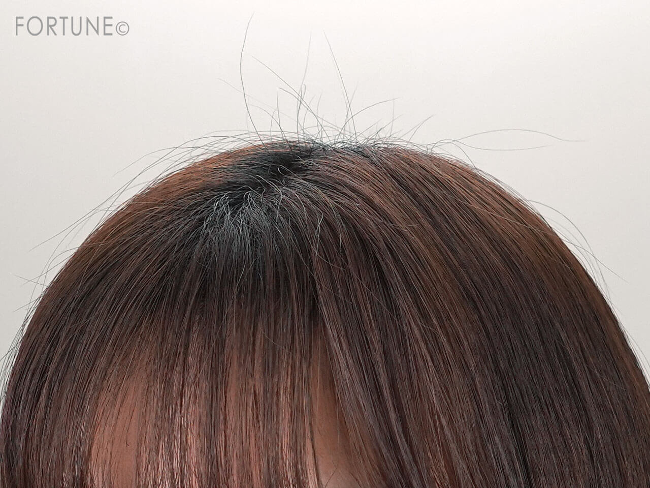 プリュスオー　ポイントリペア