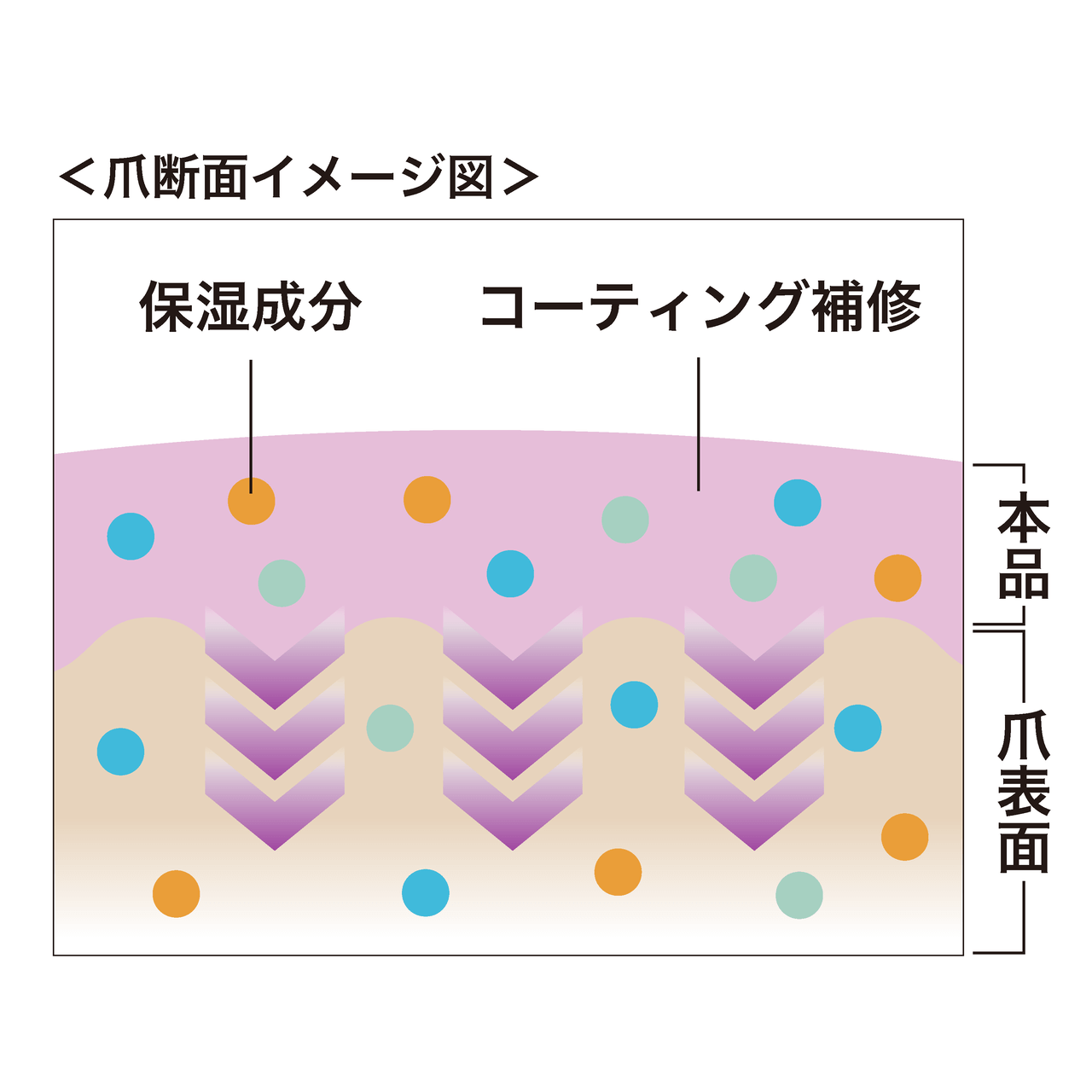 frunflynn フルンフリン スパ ネイルケアオイル