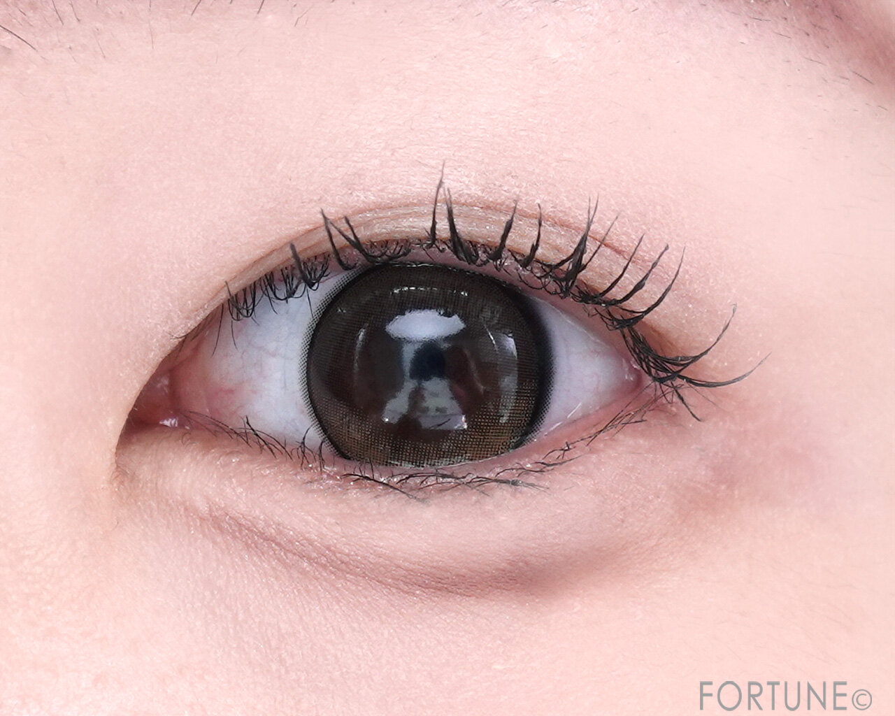 エテュセ アイエディション（ラッシュトップコート）　01 ラスターブラック