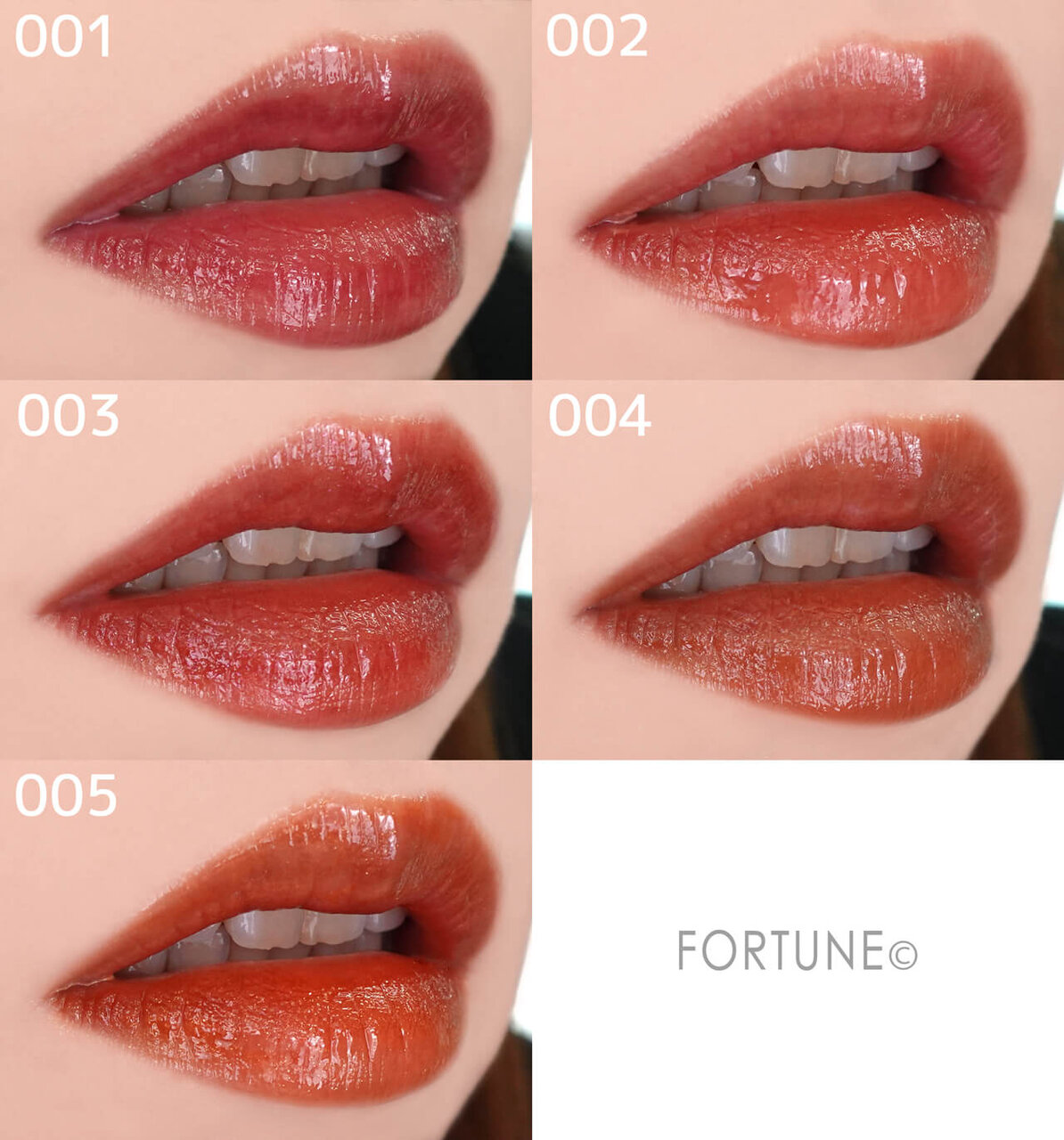 ADDICTION（アディクション）　『アディクション　リップ セラム ティント』　001　002　003　004　005　