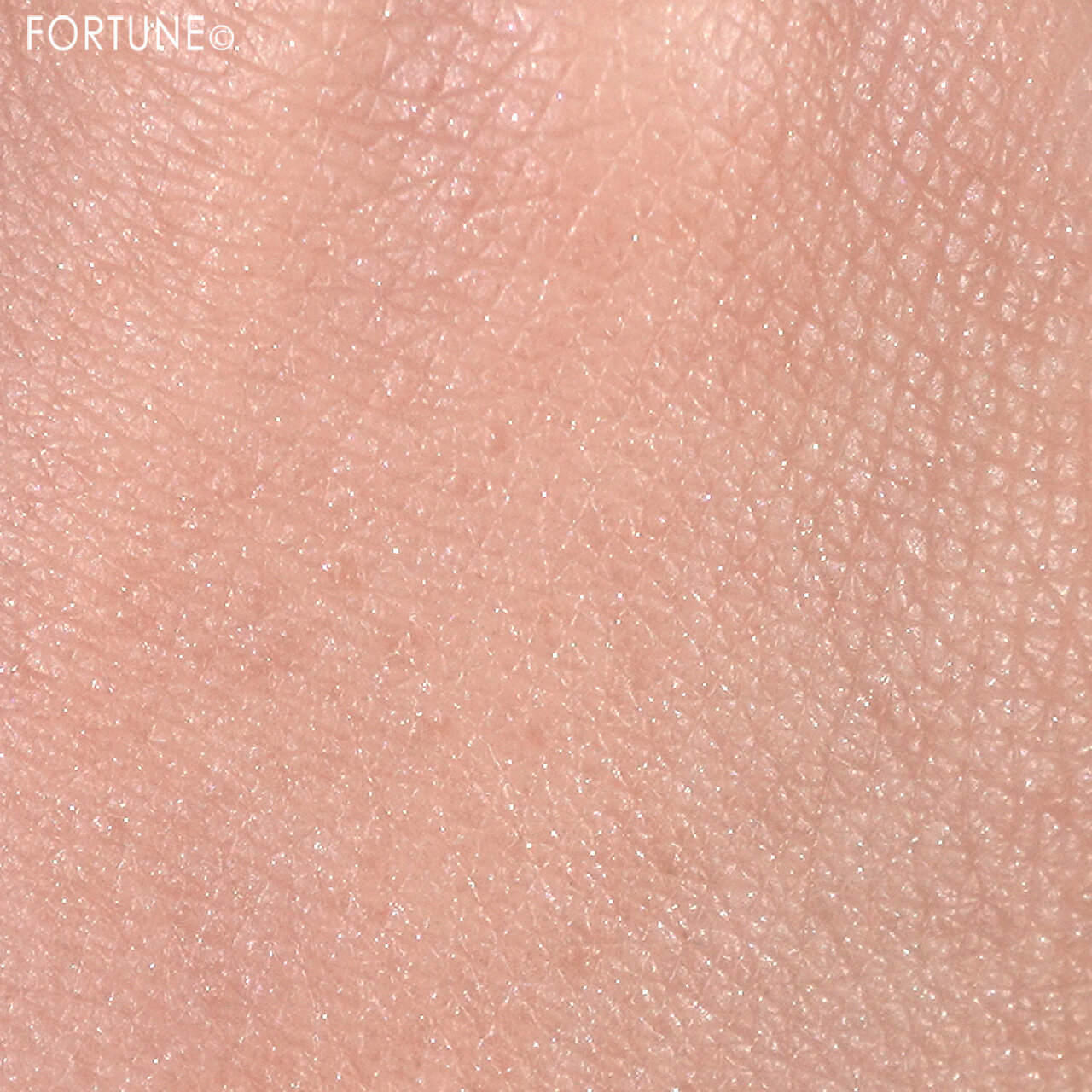 CahtyDoll（キャシードール）　『トランスルーセント ルースセッティングパウダー』グロウ