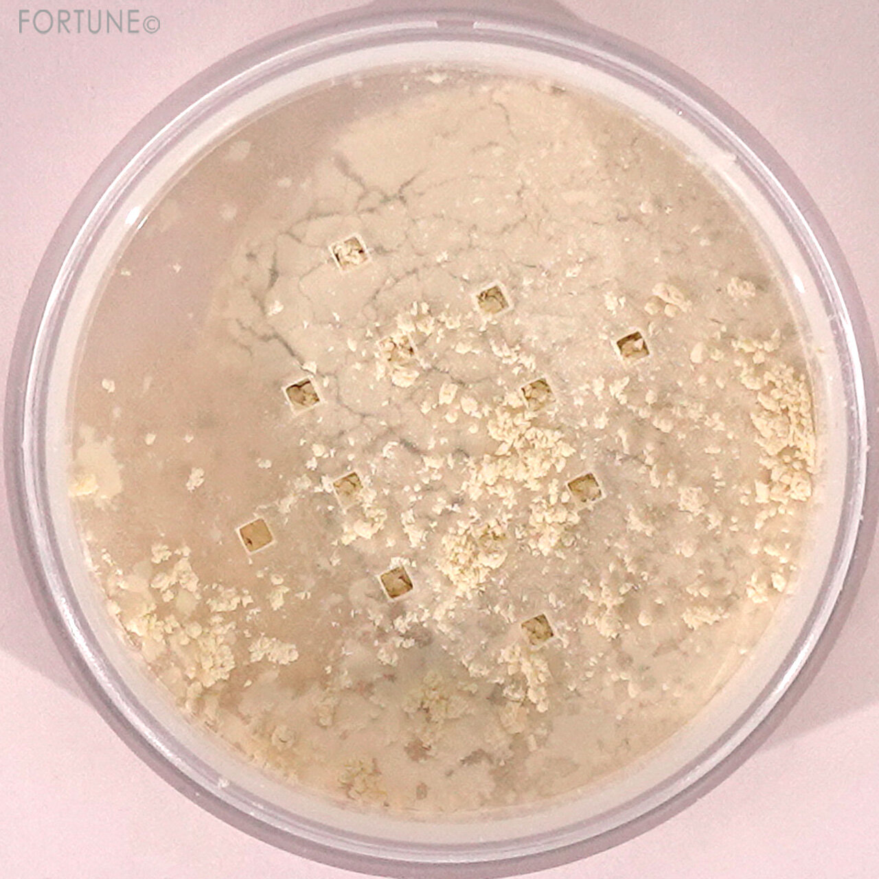 CahtyDoll（キャシードール）　『トランスルーセント ルースセッティングパウダー』　マット