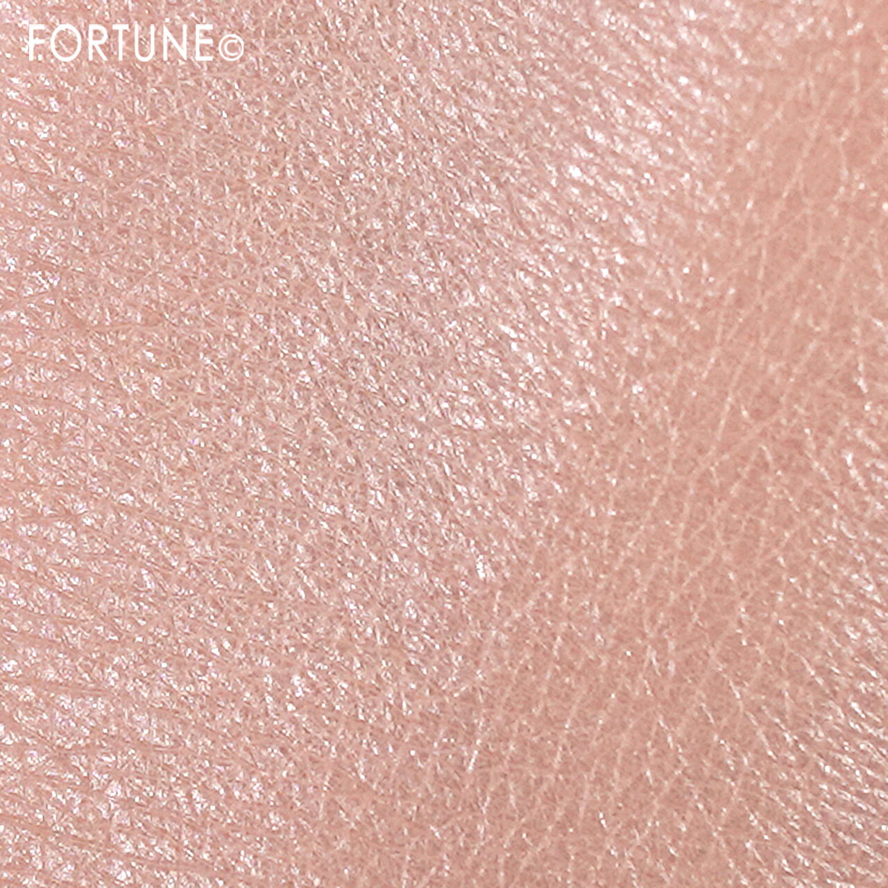 SHISEIDO（資生堂）　『SHISEIDO エッセンス スキングロウ ファンデーション』　220