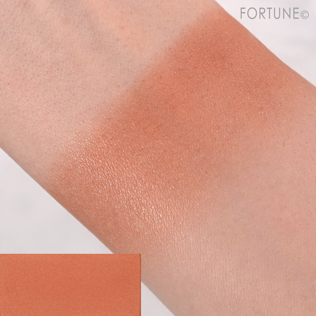 ちふれ　『ちふれ パウダー チーク』　470