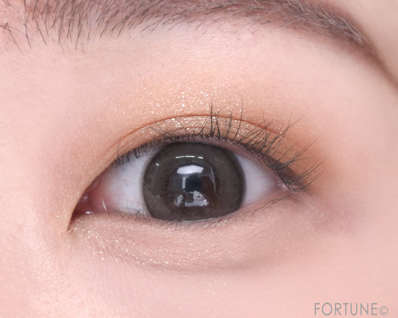 CEZANNE（セザンヌ）　『セザンヌ ビタートーンアイシャドウ』　03 ビスケットブラウン