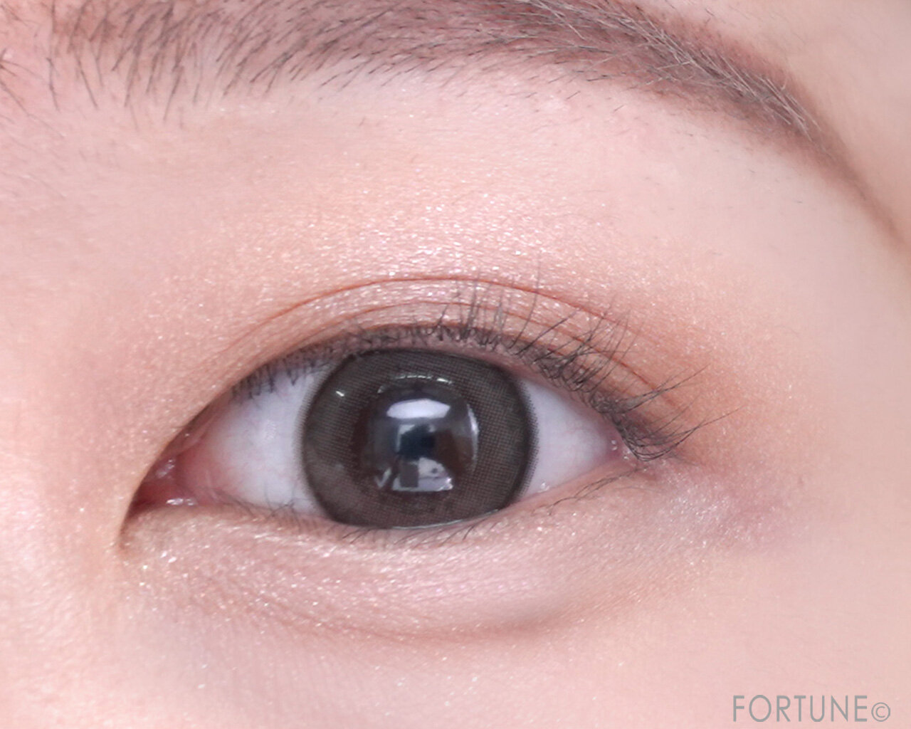 CEZANNE（セザンヌ）　『セザンヌ ベージュトーンアイシャドウ』　06 