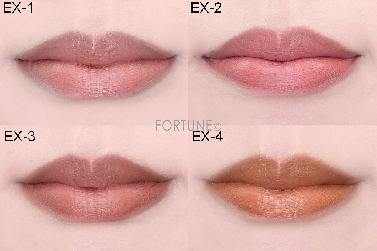 KATE（ケイト）　『ケイト　スチームマットヌードリップ』　EX-1　EX-2　EX-3　EX-4