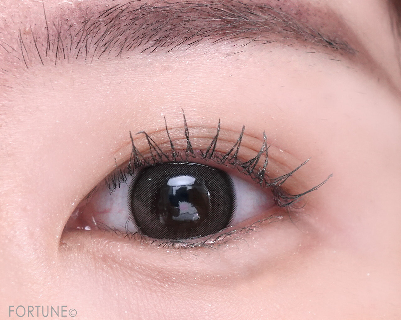 ADDICTION（アディクション）　『アディクション　ザ スパークル マスカラ　“アウト オブ ユア シェル”』　101 Shelly Dust