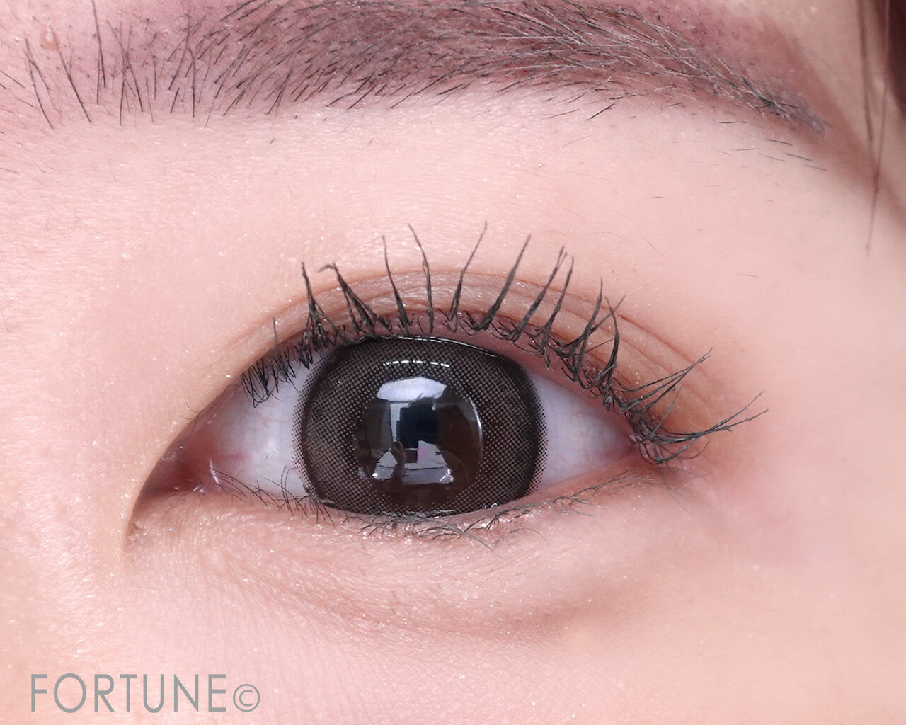 CANMAKE（キャンメイク）『クイックラッシュカーラー』 TG トープグレー