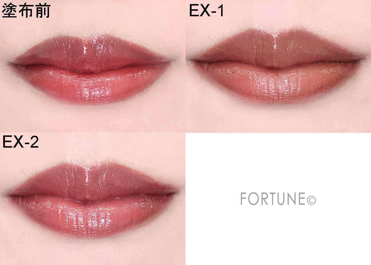 KATE（ケイト）　『ケイト　リップモンスターカラートナー』　EX-1　EX-2 