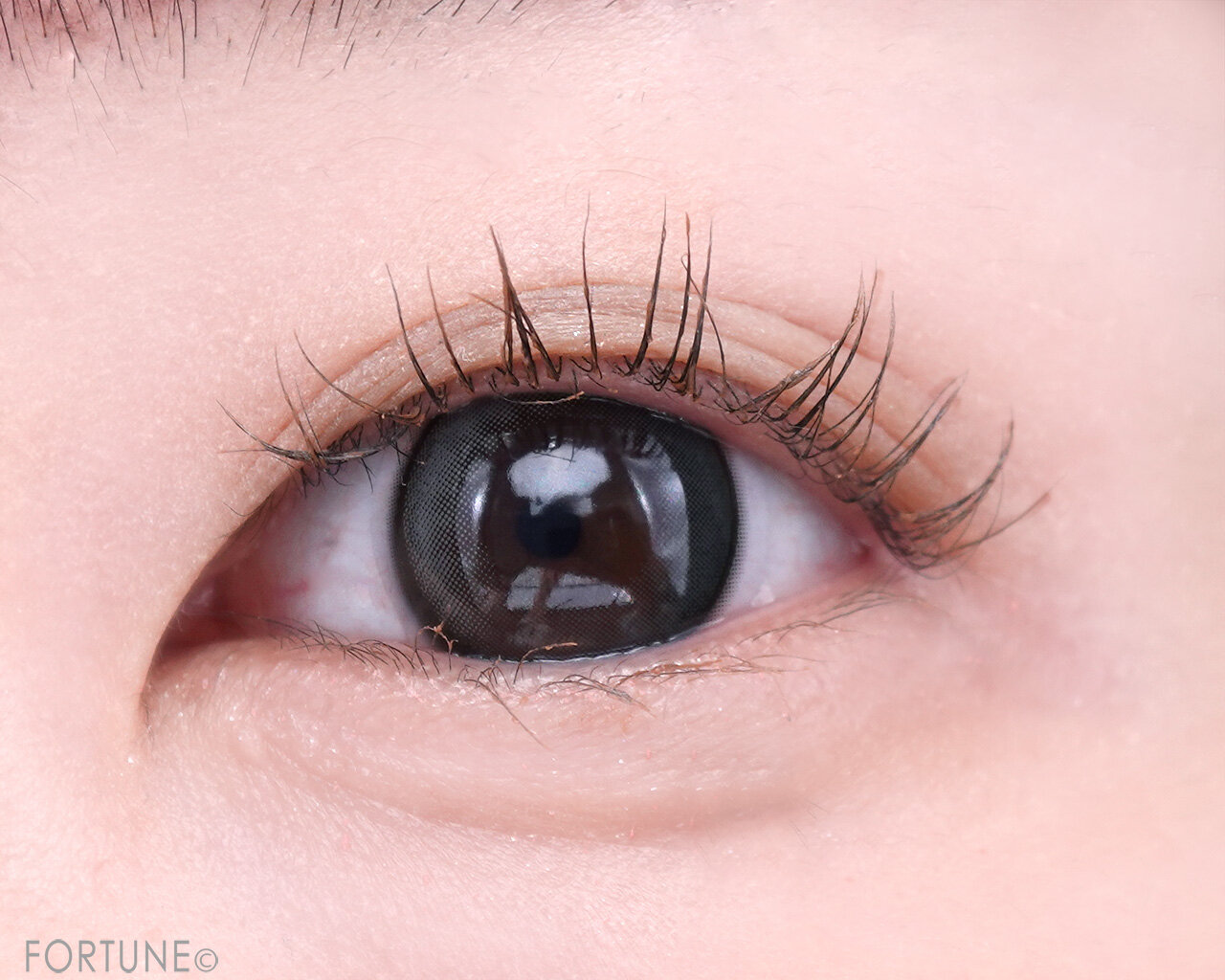 ettusais（エテュセ）　エテュセ アイエディション（ラッシュトップコート）　02 ラスターブラウン