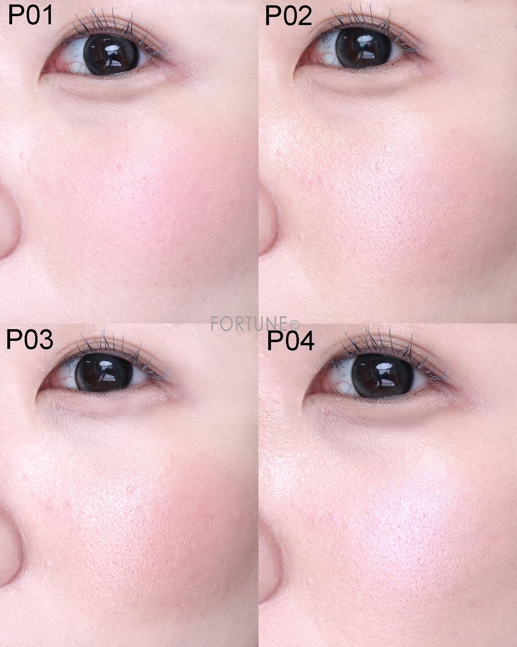 CANMAKE（キャンメイク）　『パウダーチークス』