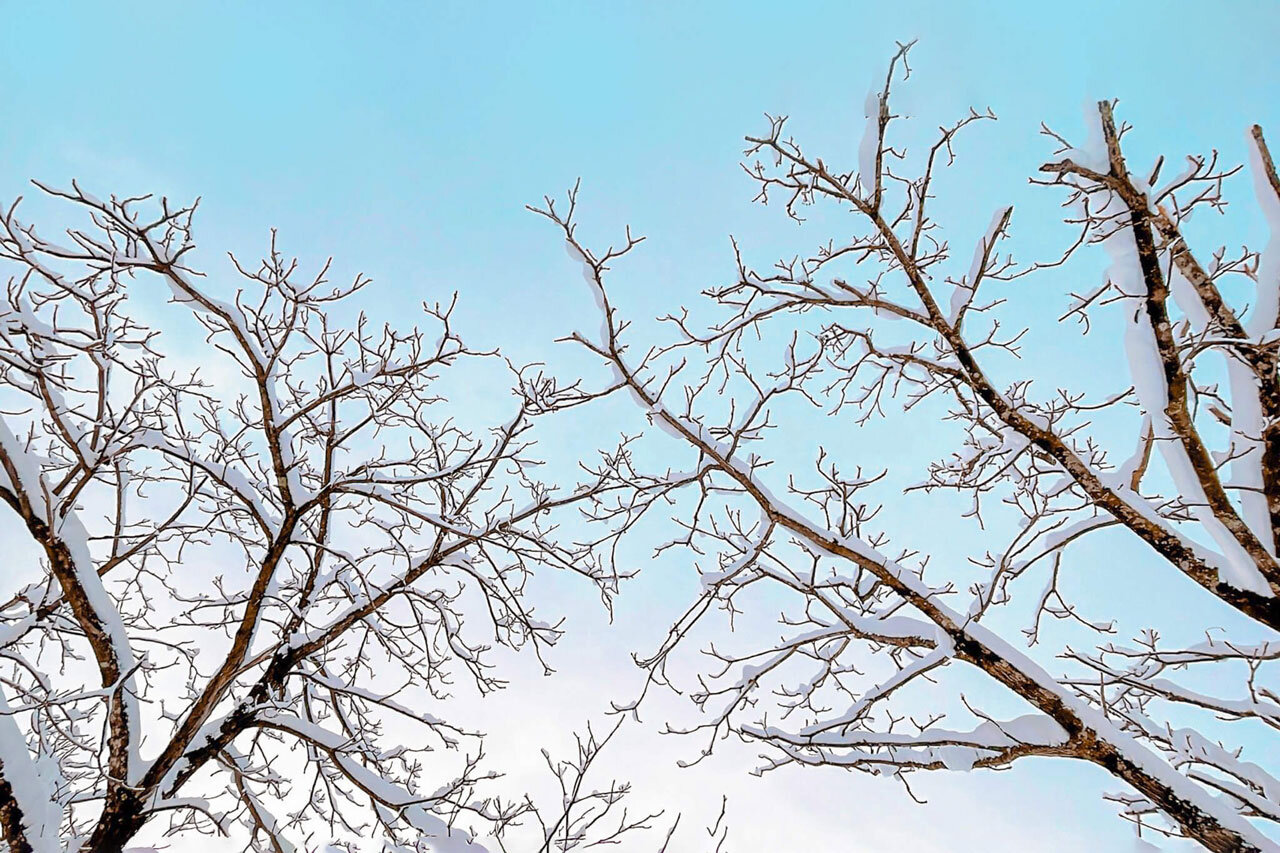 日焼け止め　冬も必要