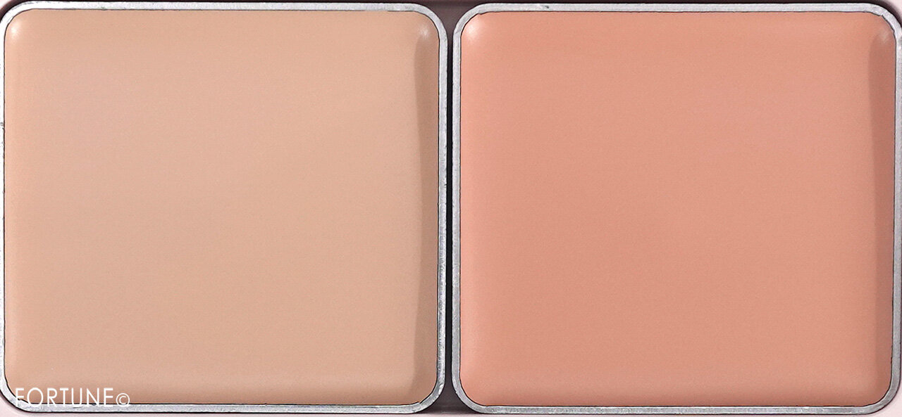 ettusais（エテュセ）　『エテュセ　スキンフィット カバーコンシーラー』