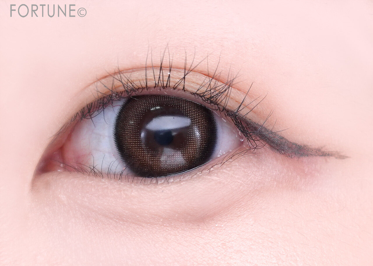 CANMAKE（キャンメイク）　『ラスティングリキッドライナー』　10 セピアグレージュ　