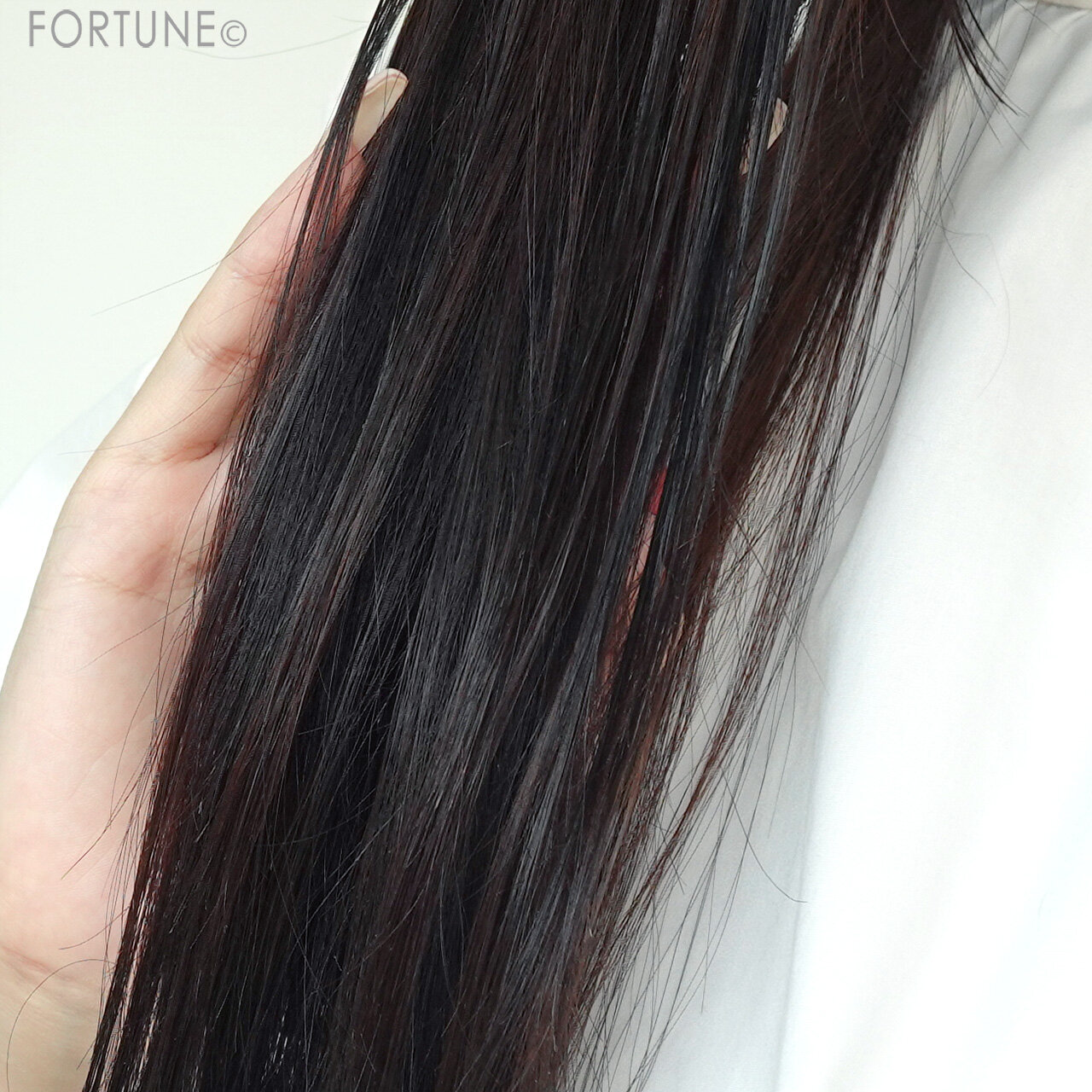 CLAYGE（クレージュ）｜ミネラルリペアオイル スムース／モイスト