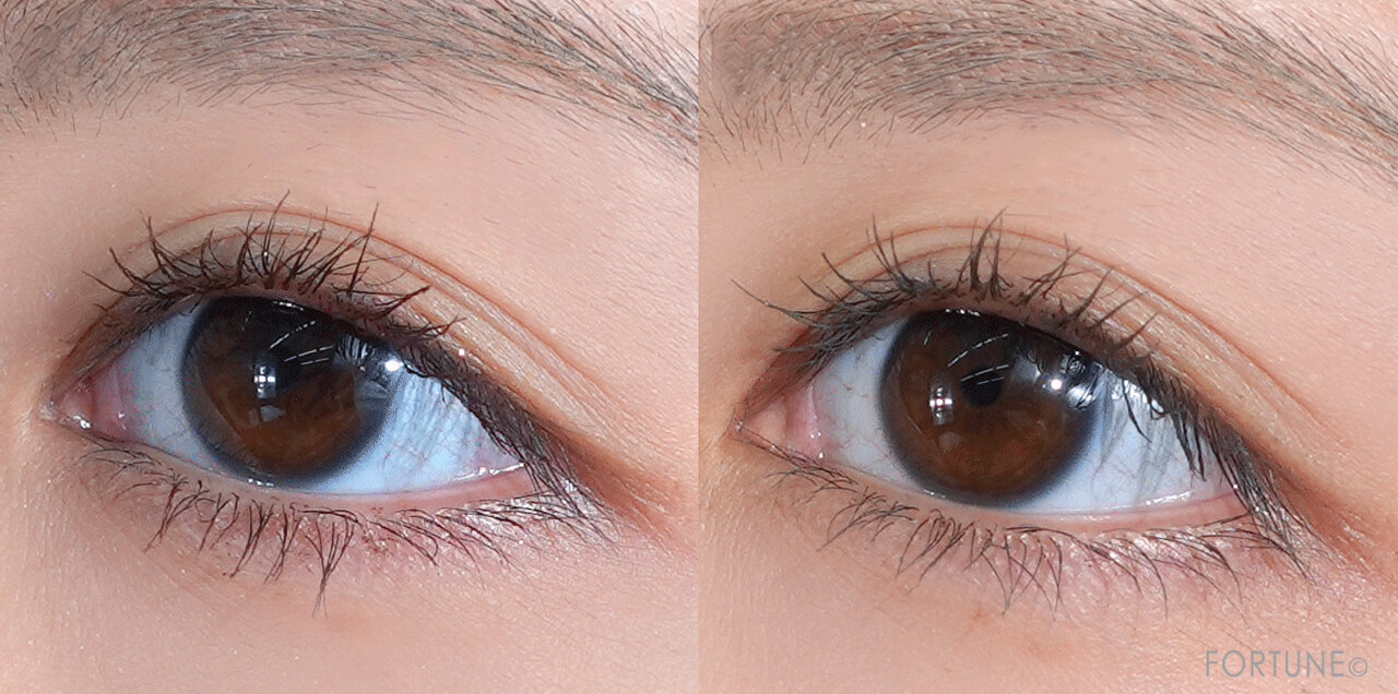 フィルムタイプ（お湯落ち）マスカラ　人気ランキング