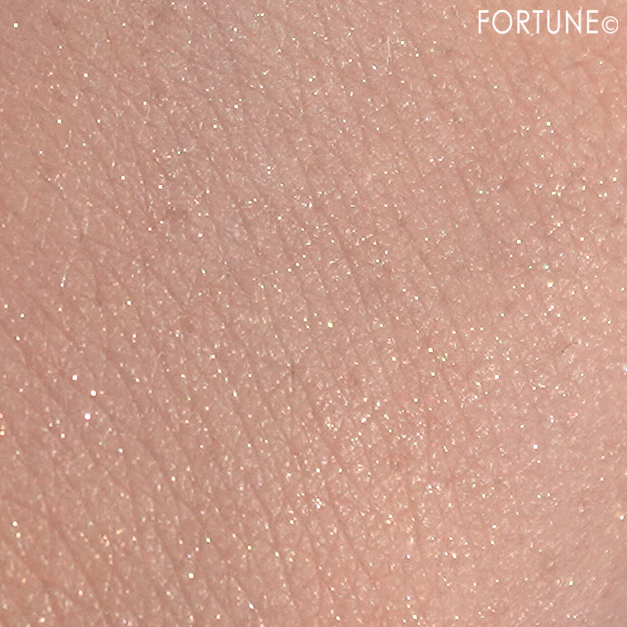 NARS（ナーズ）　NARS ゴールドダスト ライトリフレクティングセッティングパウダー