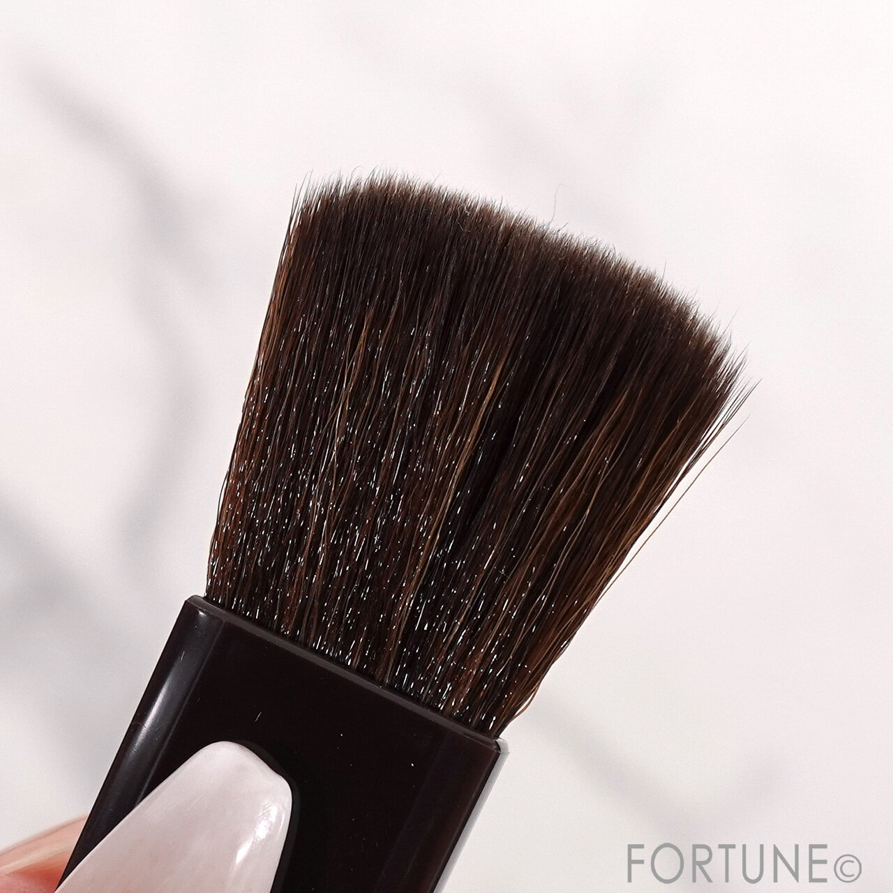 CEZANNE　セザンヌ パールグロウハイライト　SP2 ロマンスブルーム