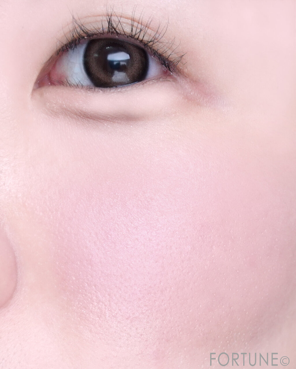 CANMAKE（キャンメイク）　パウダーチークス