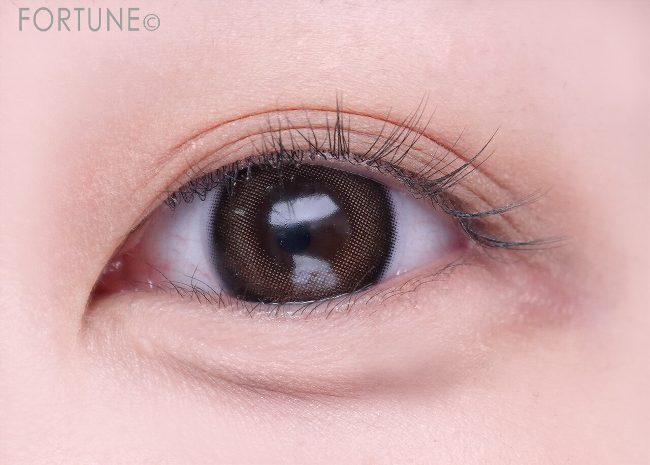 CANMAKE（キャンメイク）　『パーフェクトマルチアイズ』 09