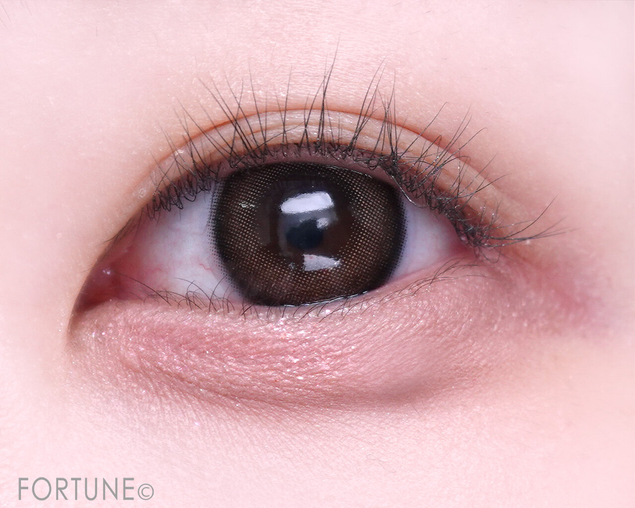 CANMAKE（キャンメイク）　『キャンメイク　プランぷくコーデアイズ』　04