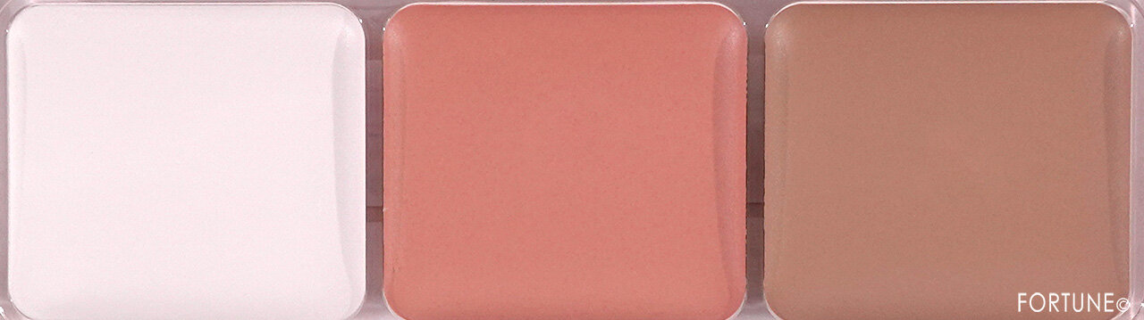 CEZANNE（セザンヌ）｜パレットコンシーラー ハイカバー　00