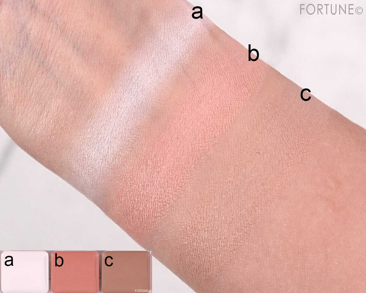 CEZANNE（セザンヌ）｜パレットコンシーラー ハイカバー　00