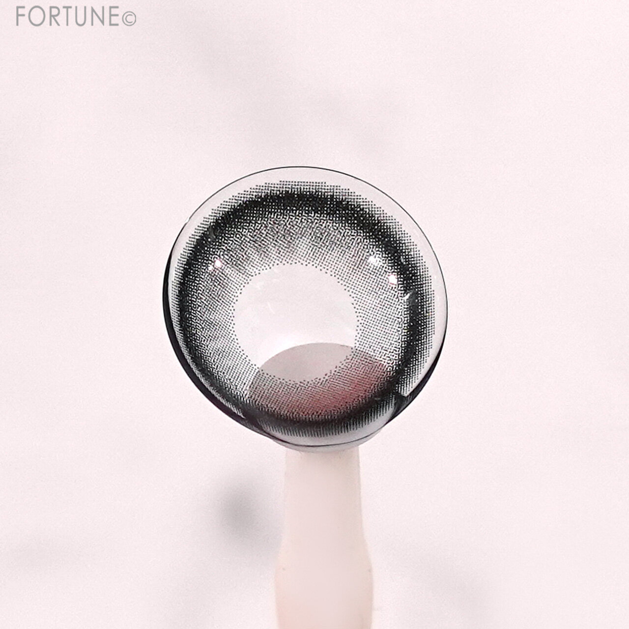 SIE.（シー）　SIE. 1day COLOR