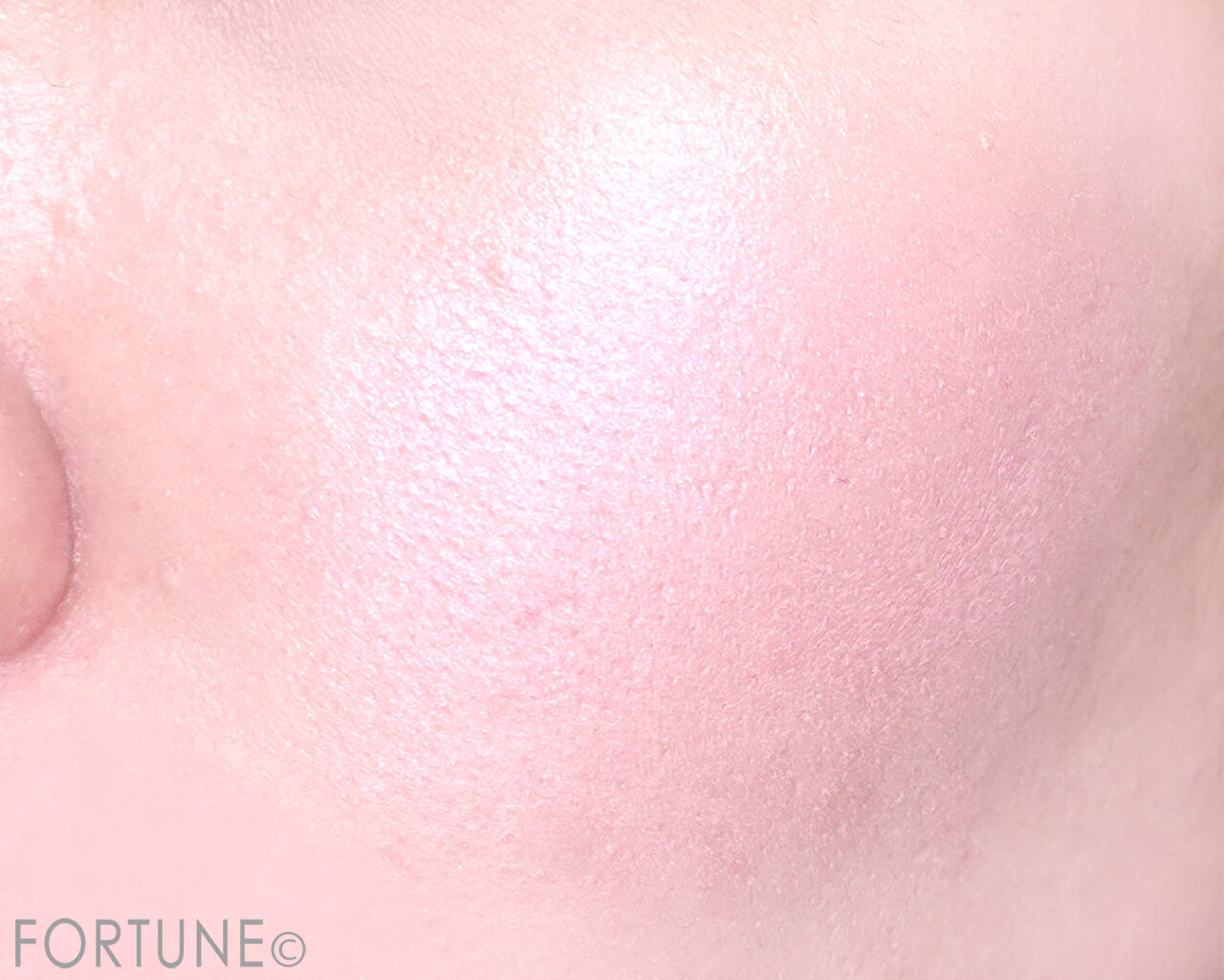 CANMAKE（キャンメイク）　クリームチーク（パールタイプ）　P06