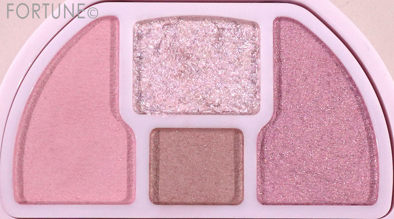 CANMAKE（キャンメイク）　『キャンメイク　プランぷくコーデアイズ』　05