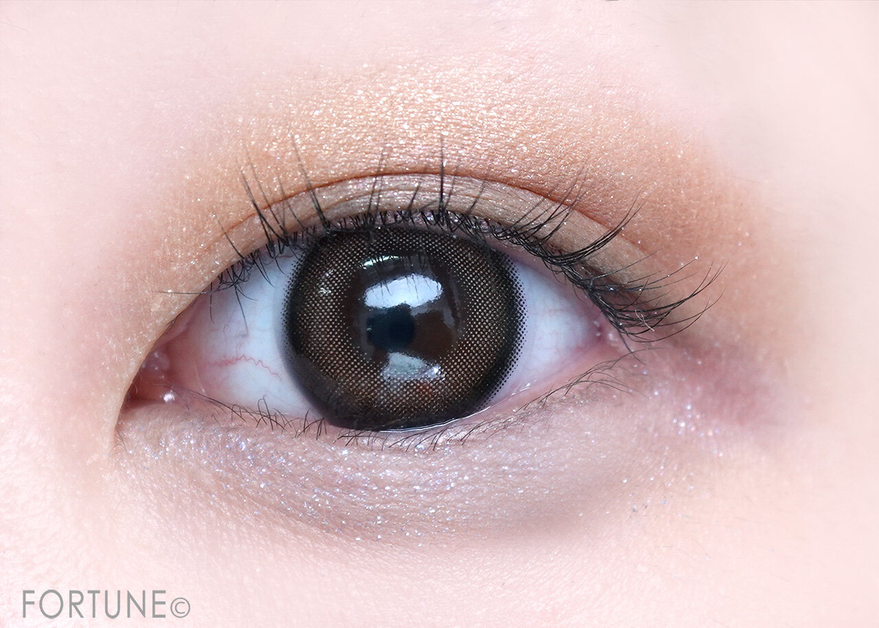 ADDICTION（アディクション）　『アディクション　ザ アイシャドウ パレット +』　101